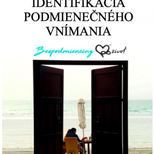 [:sk]IDENTIFIKÁCIA PODMIENEČNÉHO VNÍMANIA - PDF[:]
