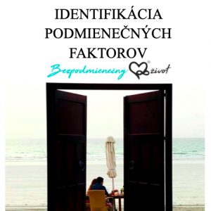 [:sk]HIERARCHIA VZŤAHOV A IDENTIFIKÁCIA PODMIENEČNÝCH FAKTOROV VO VZŤAHOCH - PDF[:]