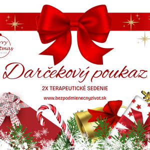 VIANOČNÝ DARČEKOVÝ POUKAZ - 2X TERAPEUTICKÉ SEDENIE